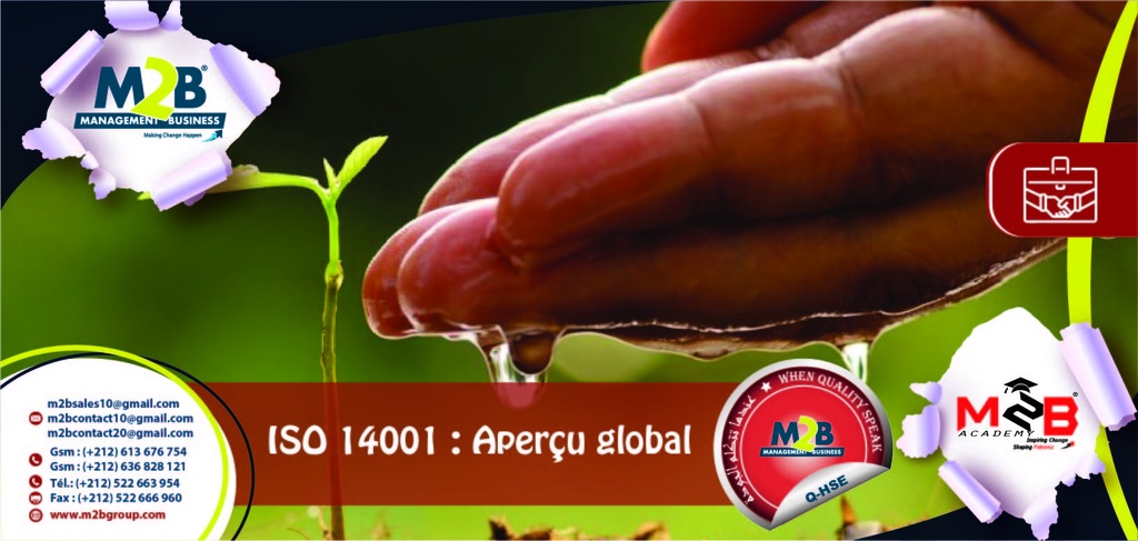 ISO 14001 - Aperçu global