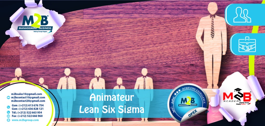 Animateur Lean Six Sigma